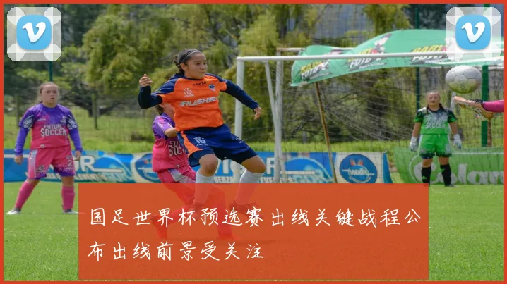 国足世界杯预选赛出线关键战程公布出线前景受关注