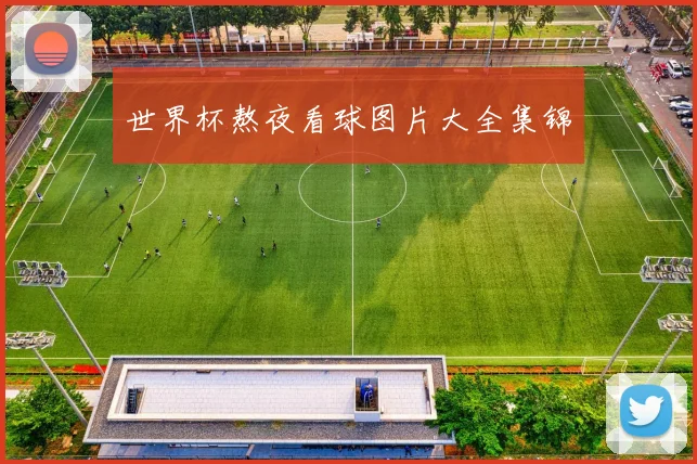 世界杯熬夜看球图片大全集锦