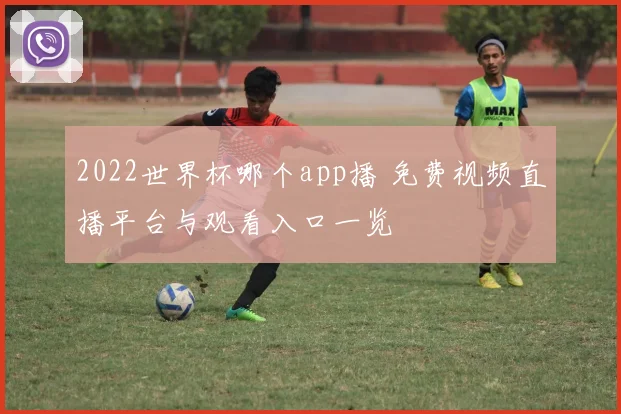 2022世界杯哪个app播 免费视频直播平台与观看入口一览